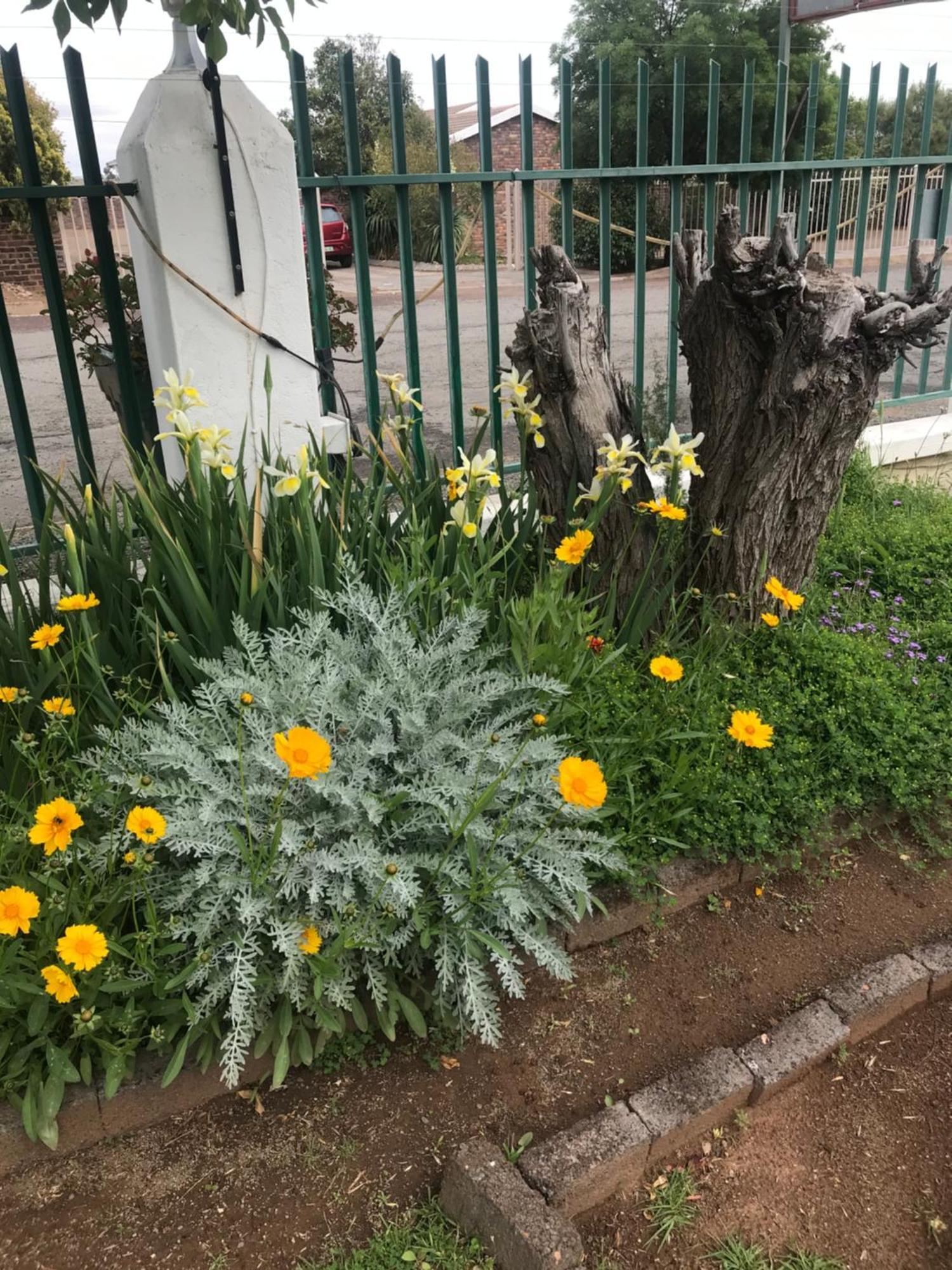Colesview Guest House Colesberg Buitenkant foto