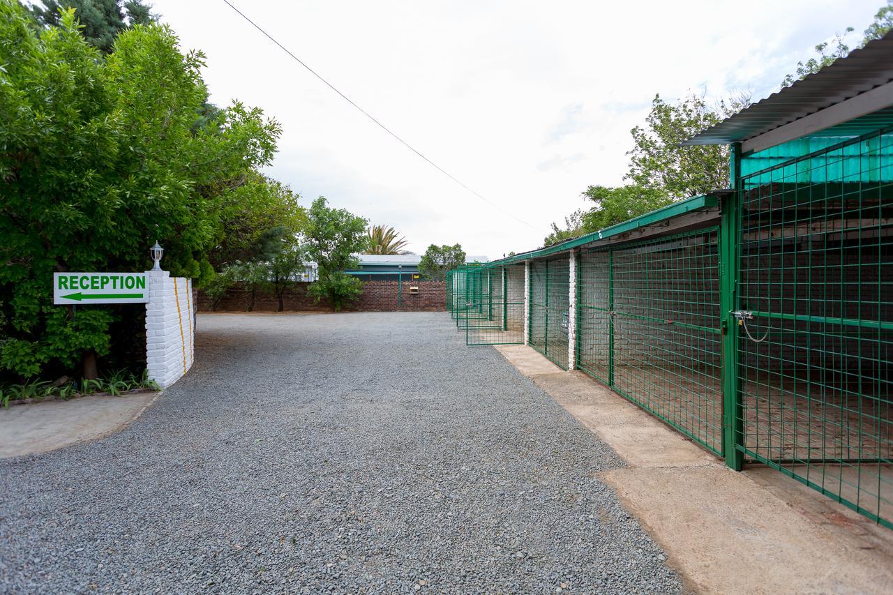 Colesview Guest House Colesberg Buitenkant foto